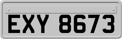 EXY8673