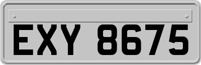 EXY8675