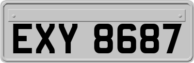 EXY8687
