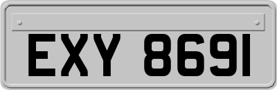 EXY8691