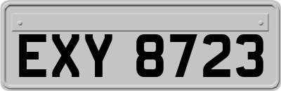 EXY8723