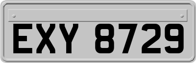 EXY8729