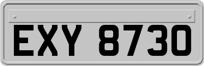 EXY8730