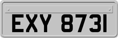 EXY8731