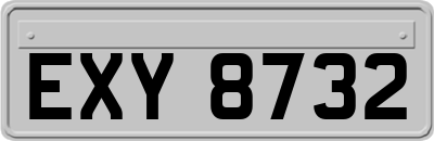 EXY8732