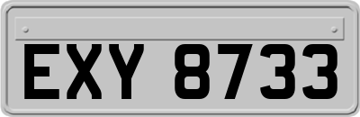 EXY8733