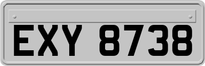 EXY8738