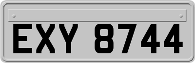 EXY8744