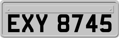 EXY8745