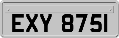 EXY8751