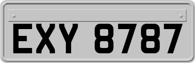 EXY8787