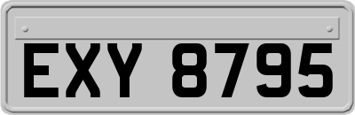 EXY8795