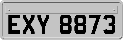 EXY8873
