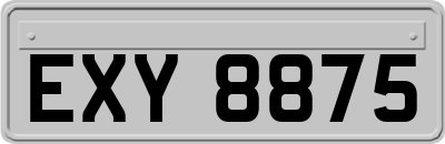 EXY8875
