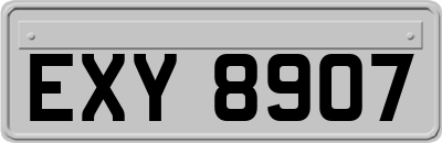 EXY8907