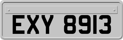 EXY8913
