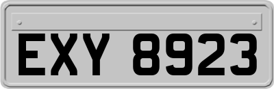 EXY8923