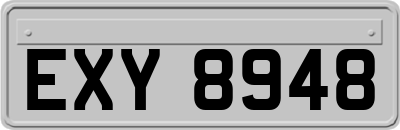 EXY8948