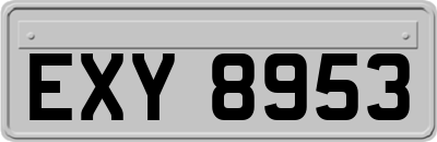 EXY8953