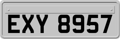EXY8957
