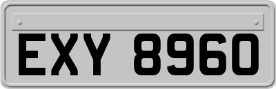 EXY8960