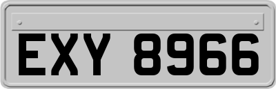 EXY8966