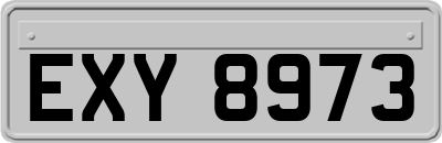 EXY8973