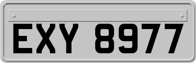 EXY8977