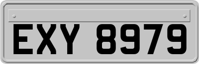 EXY8979