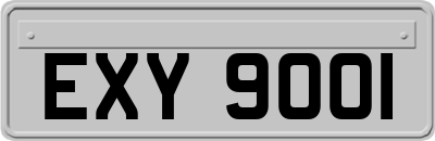 EXY9001