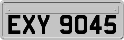 EXY9045