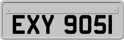 EXY9051