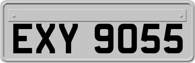 EXY9055