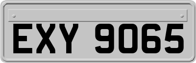 EXY9065