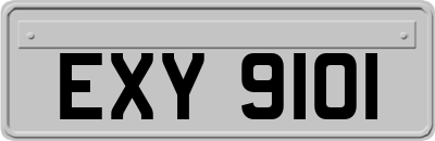 EXY9101