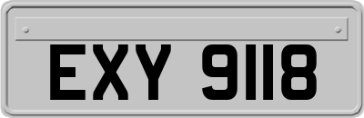 EXY9118