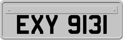 EXY9131
