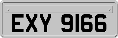 EXY9166