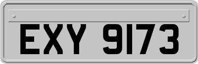 EXY9173
