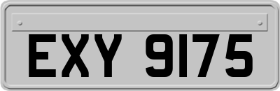 EXY9175