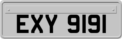 EXY9191