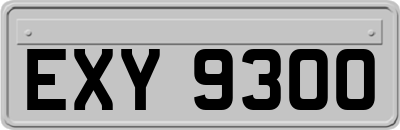 EXY9300