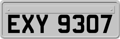 EXY9307