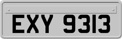 EXY9313