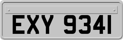 EXY9341