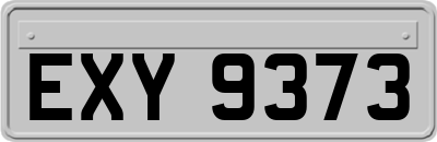 EXY9373