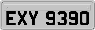 EXY9390