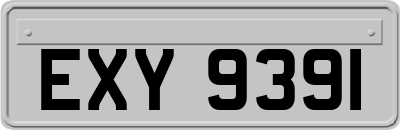 EXY9391