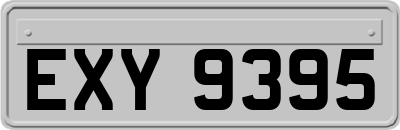 EXY9395