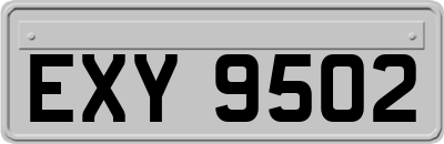 EXY9502